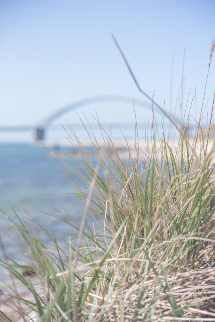 Mellenthin Lodges - Ferienwohnungen im Herzen der Insel Fehmarn - Britta Ahlström - Foto & Design